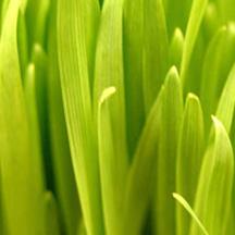 催收短信电话轰炸机