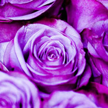 呼叫TA急速系统